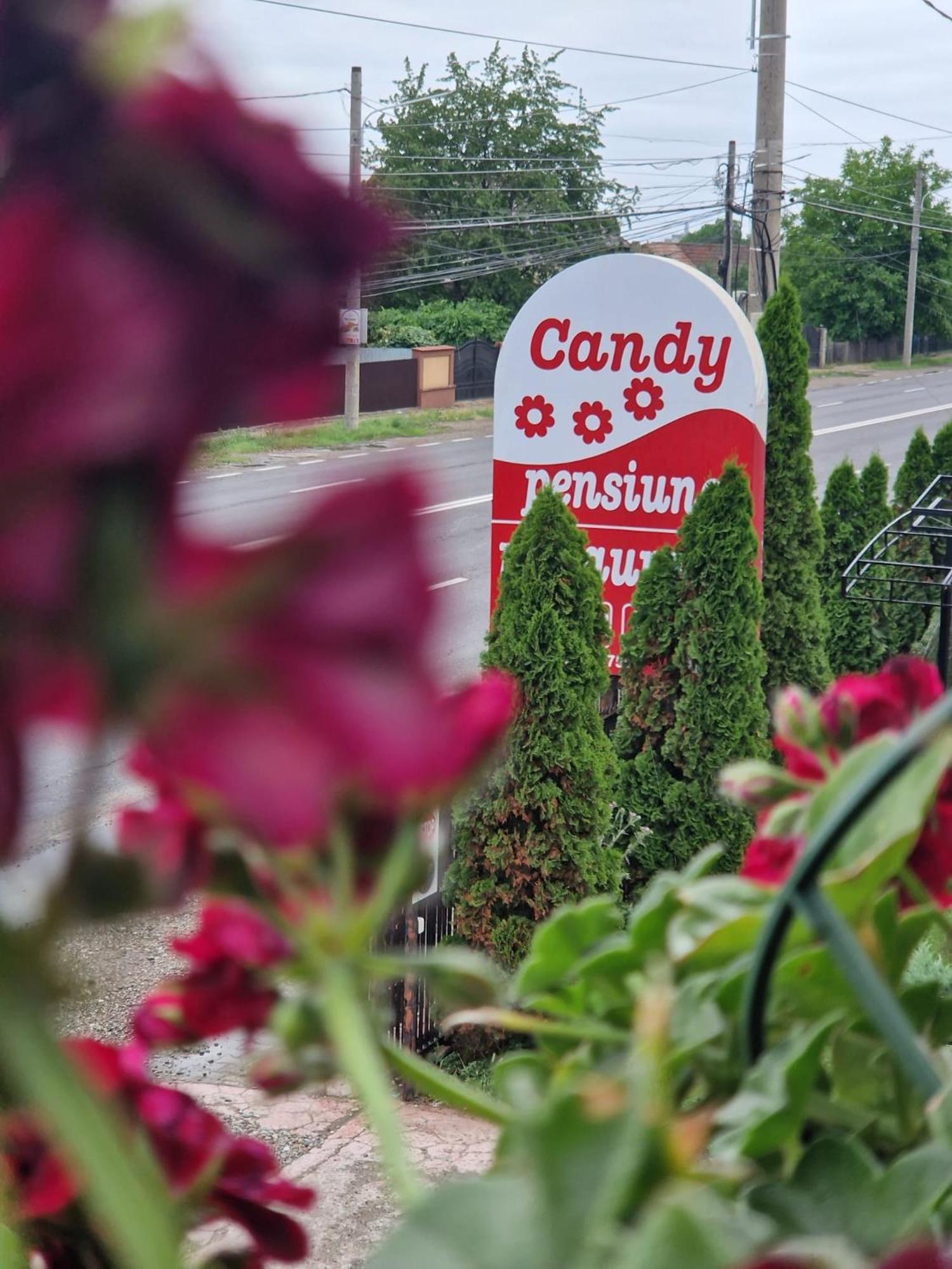 Candy Pensiune&Restaurant Dumbrava Roşie Extérieur photo
